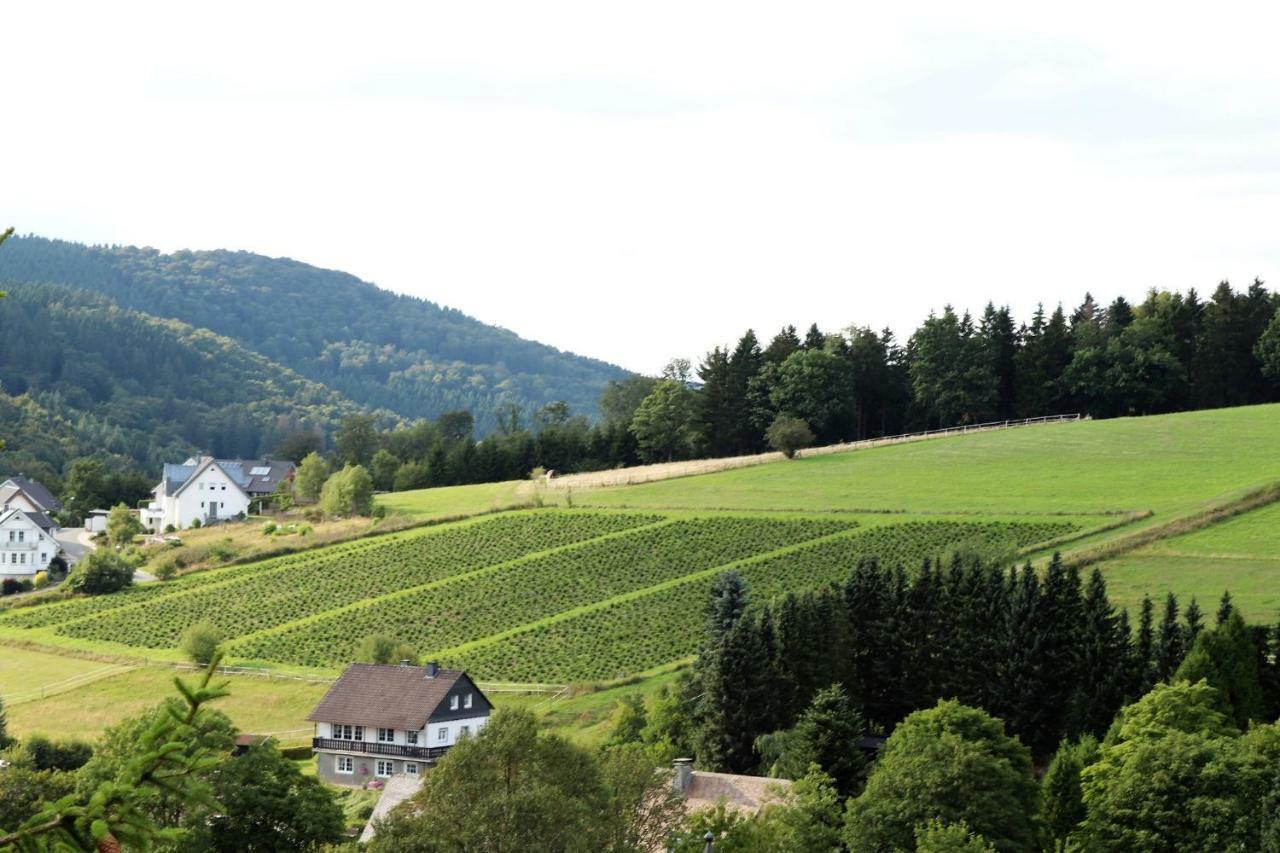 Gretel Von Birne Hotel Winterberg Exterior foto
